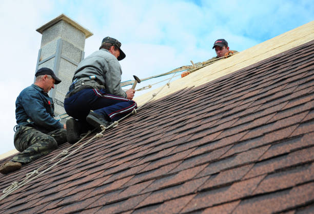 Best Storm Damage Roof Repair  in Forest Hills, PA