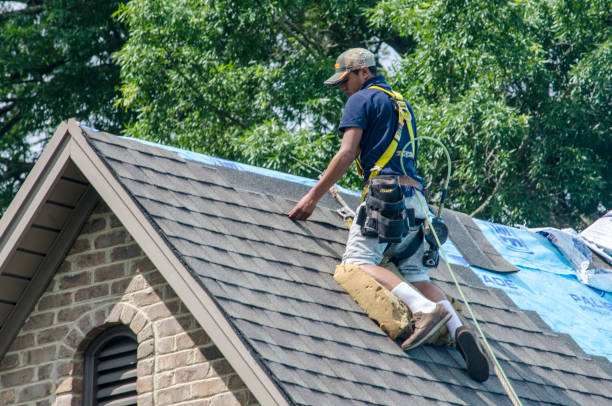Best Gutter Installation and Roofing  in Forest Hills, PA
